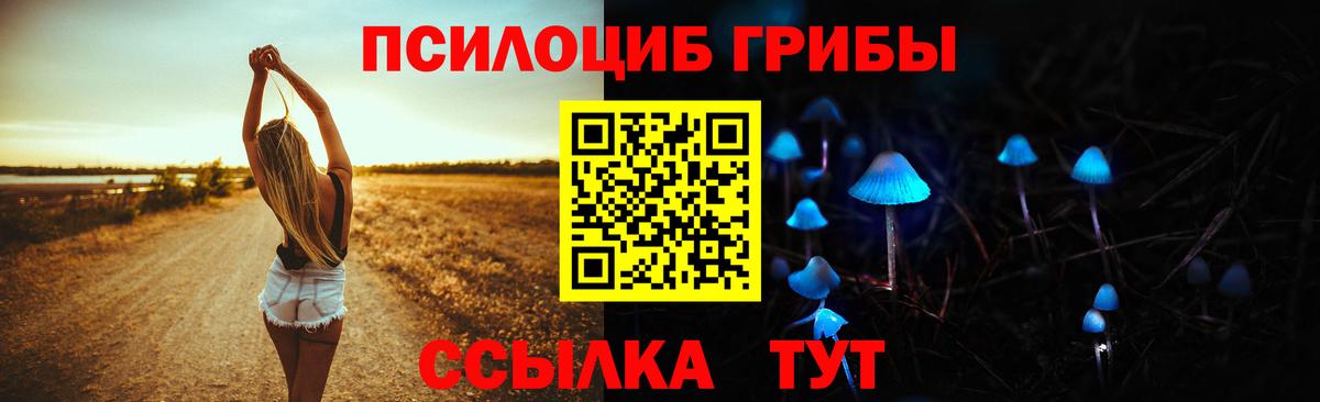 Лабытнанги  Галлюциногенные грибы Psilocybine cubensis  Вход с VPN 